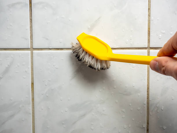 Best Home Mold Removal  in Milton, WV