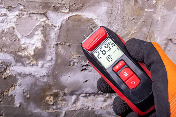 Best Professional Mold Removal  in Milton, WV