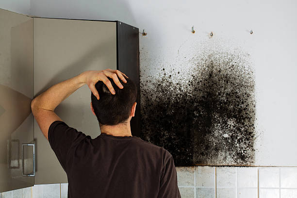 Best Mold Testing  in Milton, WV
